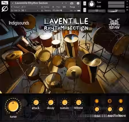 Indigisounds Laventille Rhythm Section [KONTAKT] - Sample Pack Artwork