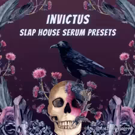 Infinity Audio Invictus Slap House [Synth Presets] - Sample Pack Artwork