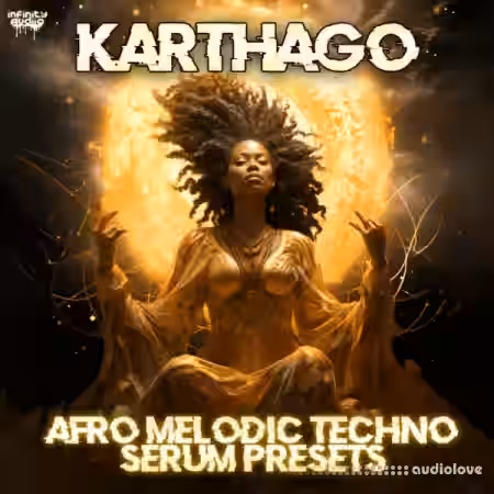 Infinity Audio Karthago Afro Melodic Techno Serum Presets [Synth Presets] - Sample Pack Artwork