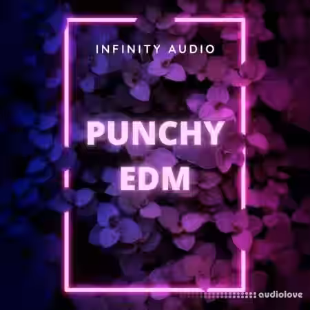 Infinity Audio Punchy EDM [WAV, MiDi] - Sample Pack Artwork