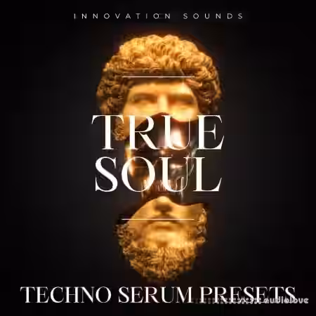 Innovation Sounds True Soul - Techno Serum Presets [Synth Presets] - Sample Pack Artwork