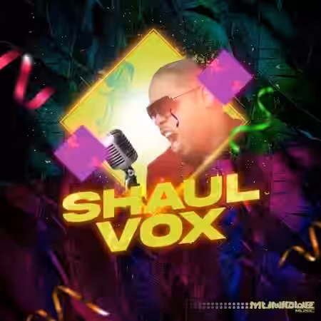 Innovative Samples Shaul Vox Vol.1 [WAV] - Sample Pack Artwork