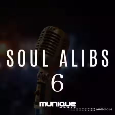 Innovative Samples SOUL ALIB 6 [WAV] - Sample Pack Artwork