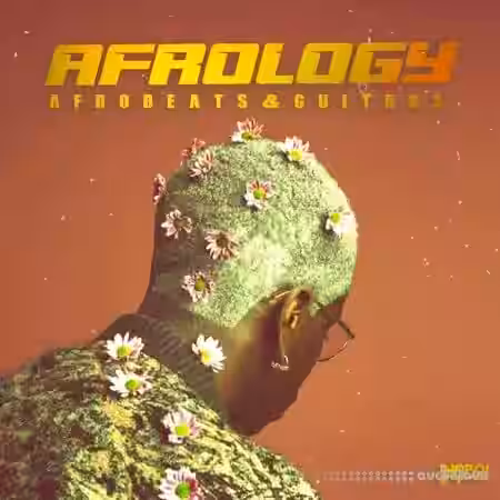 Inqboi Afrology: Afrobeats and Guitars [WAV, MiDi] - Sample Pack Artwork