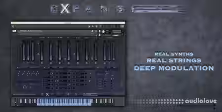 Insanity Samples EXPANSE [KONTAKT] - Sample Pack Artwork