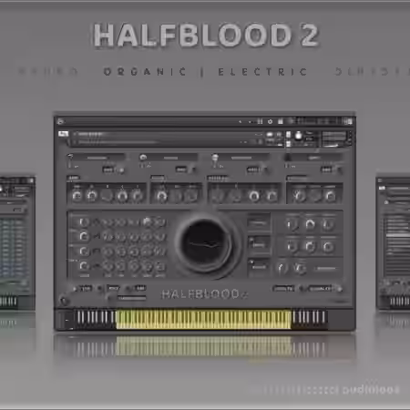 Insanity Samples HALFBLOOD 2 v1.5.0 [KONTAKT] - Sample Pack Artwork