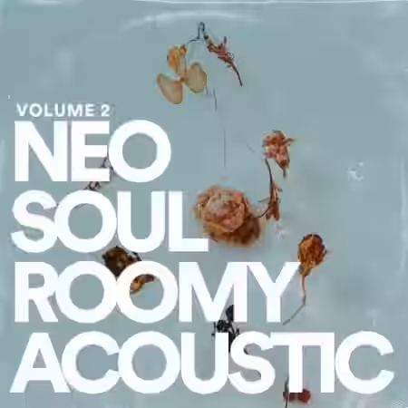 Jake Fine Neo Soul Guitar Sauce Vol.2 Roomy Acoustic [WAV] - Sample Pack Artwork
