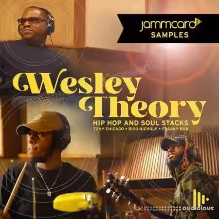 Jammcard Samples Wesley Theory Hip-Hop And Soul Stacks [WAV] - Sample Pack Artwork