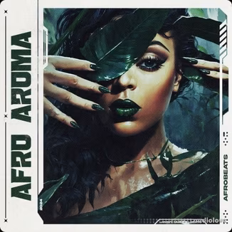 Jerry Martin Beats Afro Aroma [WAV, MiDi]