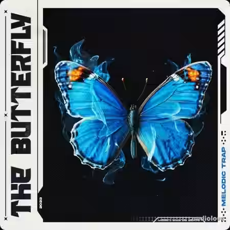 Jerry Martin Beats Butterfly [WAV, MiDi] - Sample Pack Artwork