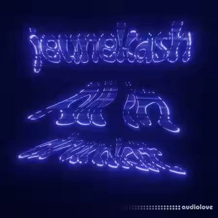 jeunekash all in drumkit [WAV, MiDi, Synth Presets] - Sample Pack Artwork