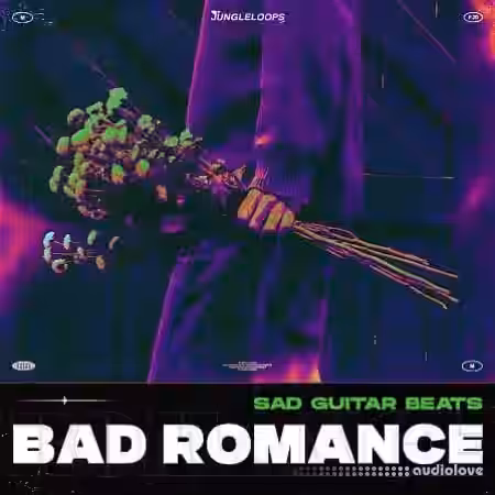 Jungle Loops Bad Romance - Sad Guitar Beats [WAV, MiDi] - Sample Pack Artwork