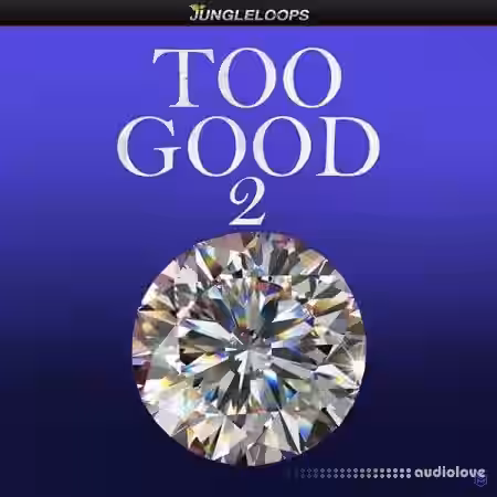 Jungle Loops Too Good Volume 2 [WAV, MiDi, DAW Templates] - Sample Pack Artwork