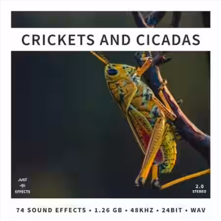 Just Sound Effects Crickets and Cicadas [WAV] - Sample Pack Artwork