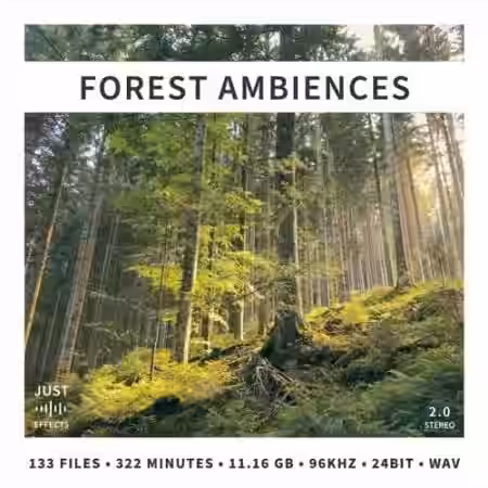 Just Sound Effects Forest Ambiences [WAV] - Sample Pack Artwork