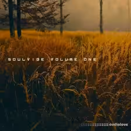 KAN Samples Soulvibe Vol.1 [WAV] - Sample Pack Artwork