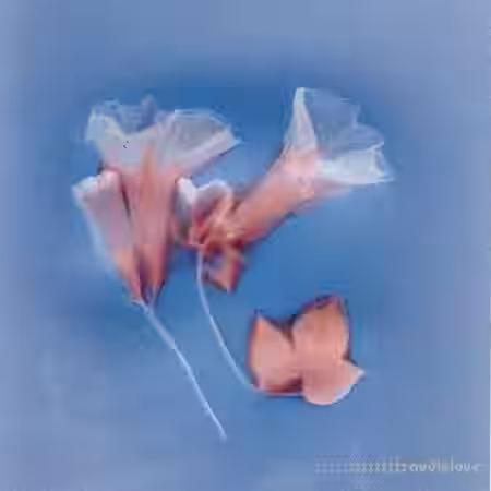 KeDALOS LUNAR (Drumkit) [WAV] - Sample Pack Artwork