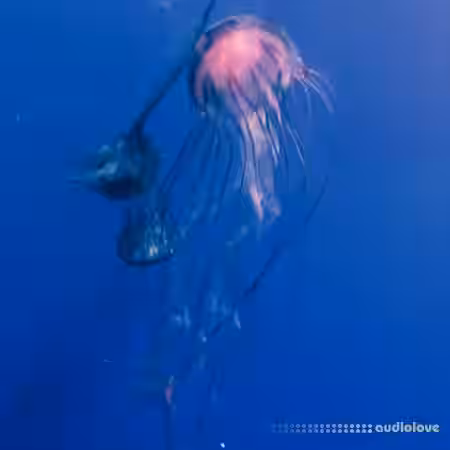 Kliho Experimental Chill [WAV] - Sample Pack Artwork