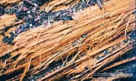 KOAN Sound Sample Giveaway: Foley Pack 02 [WAV] - Sample Pack Artwork