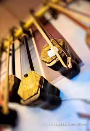 Kong Audio Chinee Series ChineeErHu I and ChineeErHu II [KONTAKT] - Sample Pack Artwork