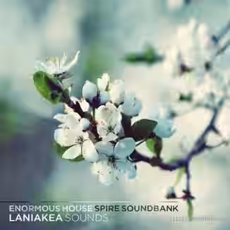 Laniakea Sounds Enormous House Spire Soundbank [Synth Presets]