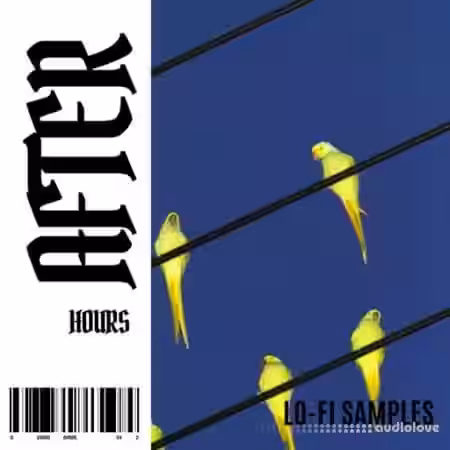 Lazerdisk After Hours Lo-Fi Samples [WAV] - Sample Pack Artwork