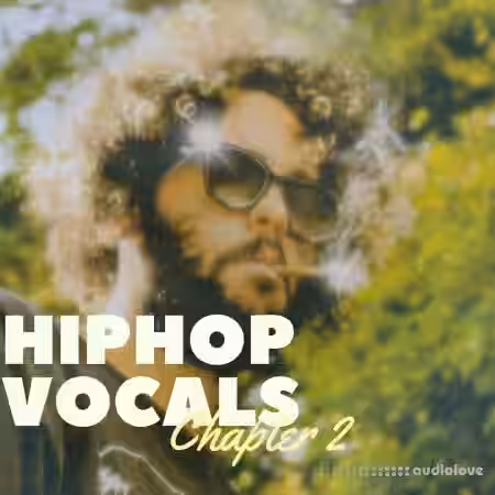 Lazerdisk Hip Hop Vocals Chapter 2 [WAV] - Sample Pack Artwork
