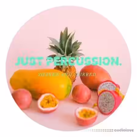 Lazerdisk Just Percussion [WAV] - Sample Pack Artwork