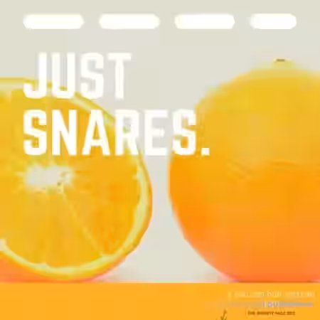 Lazerdisk Just Snares [WAV] - Sample Pack Artwork