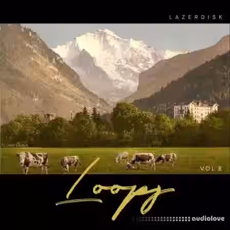 Lazerdisk Loops Vol.8 [WAV] - Sample Pack Artwork