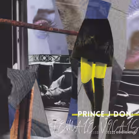 Lazerdisk Prince J Don Presents Ladies First Female Vocals [WAV] - Sample Pack Artwork