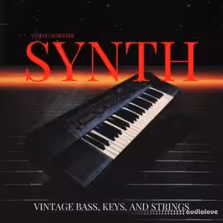 Lazerdisk Vintage Synth [WAV] - Sample Pack Artwork