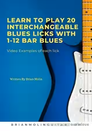 Learn To Play 20 Interchangeable Blues Licks With 1- 12 Bar Blues: Beginner to Intermediate Levels - Sample Pack Artwork