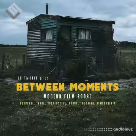 Leitmotif Between Moments: Modern Film Score [WAV] - Sample Pack Artwork