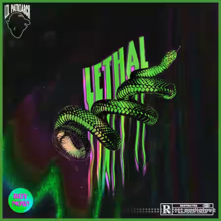 Lil Patriarch Lethal Loop Kit [WAV] - Sample Pack Artwork