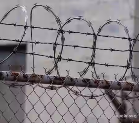 Loneliness HARDWAVE Sample pack II [MiDi, DAW Templates, WAV] - Sample Pack Artwork