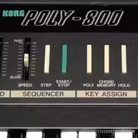 Looma Korg Poly800 Oneshot Sample Pack [WAV] - Sample Pack Artwork