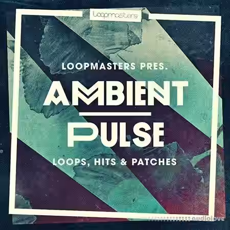Loopmasters Ambient Pulse [WAV, REX] - Sample Pack Artwork