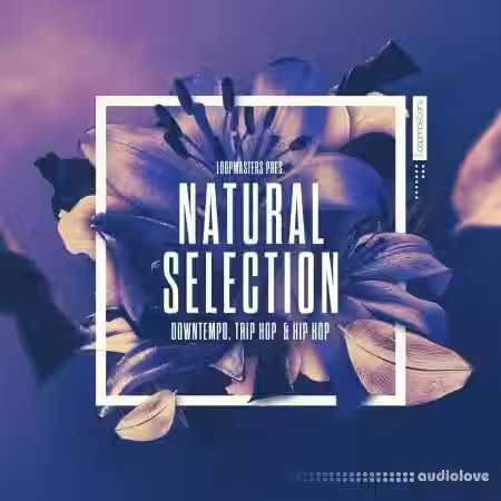 Loopmasters Natural Selection [MULTiFORMAT] - Sample Pack Artwork