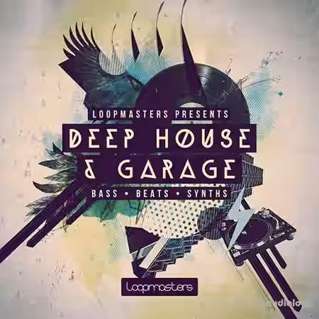 Loopmasters Presents Deep House and Garage [MULTiFORMAT] - Sample Pack Artwork