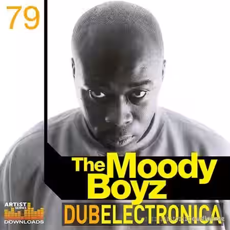Loopmasters The Moody Boyz Dub Electronica [MULTiFORMAT] - Sample Pack Artwork