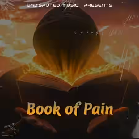 Loops 4 Producers Book Of Pain [WAV] - Sample Pack Artwork