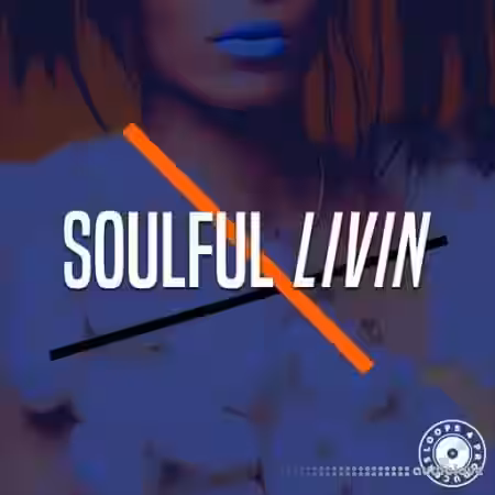 Loops 4 Producers Soulful Lovin [WAV] - Sample Pack Artwork