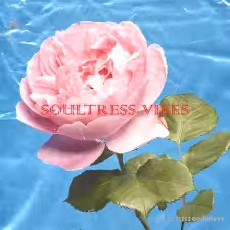 Loops 4 Producers Soultress [WAV] - Sample Pack Artwork