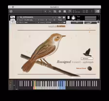 Loops De La Creme Songbird Virtuoso [KONTAKT] - Sample Pack Artwork
