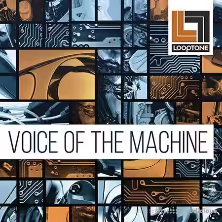 Looptone Voice of the Machine [WAV] - Sample Pack Artwork