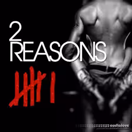 Looptroniks 2 Reasons: Chapter 6 [WAV, MiDi] - Sample Pack Artwork