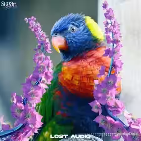 Lost Audio Sugar Sample Collection [WAV, MiDi] - Sample Pack Artwork
