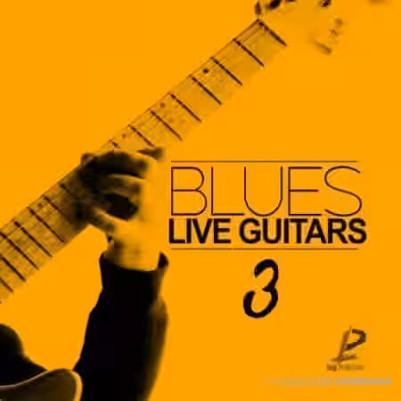 Luigi Production Blues Live Guitars 3 [WAV] - Sample Pack Artwork