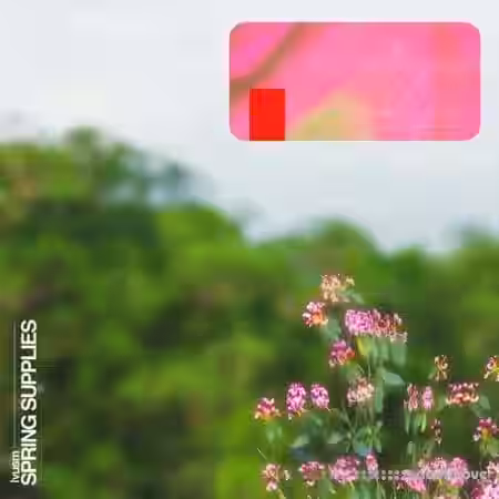 lvusm spring supplies [WAV] - Sample Pack Artwork